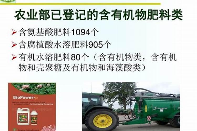 落地生根开花后会死吗？