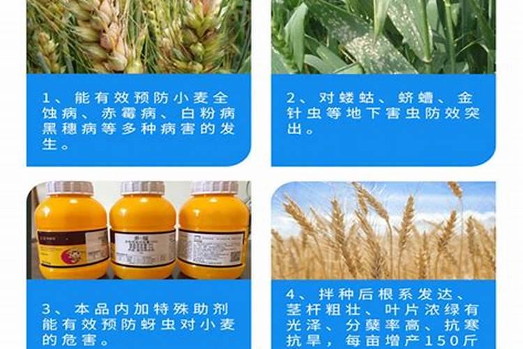 治疗果树根瘤病最好的是什么药？哪里能买到？
