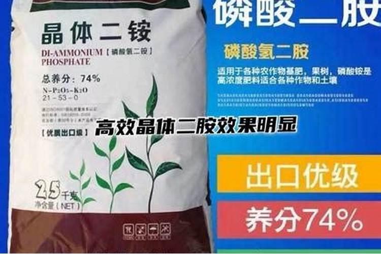 用氨基酸钙肥能减少番茄脐腐病吗？