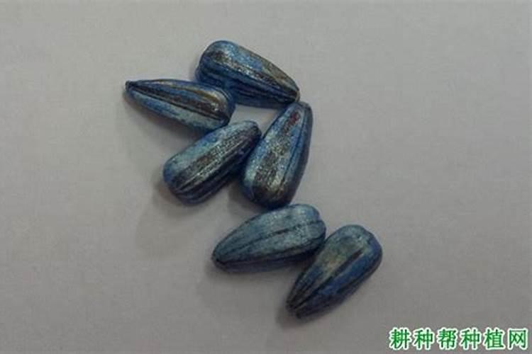 如何掌握向日葵施用硼肥技术？