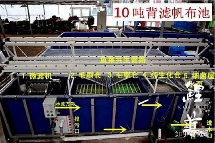 帆布怎么自制鱼池