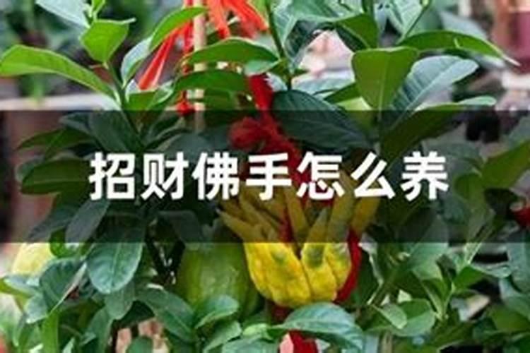 复合肥下雨天撒在土面上有用吗