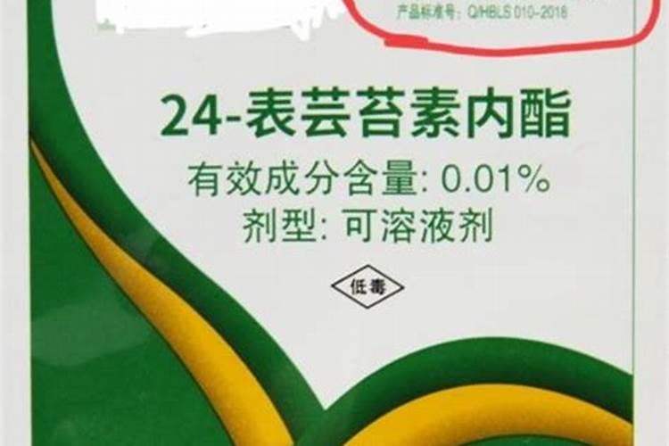 兰花怎样施肥才能花多芽多观赏价值高