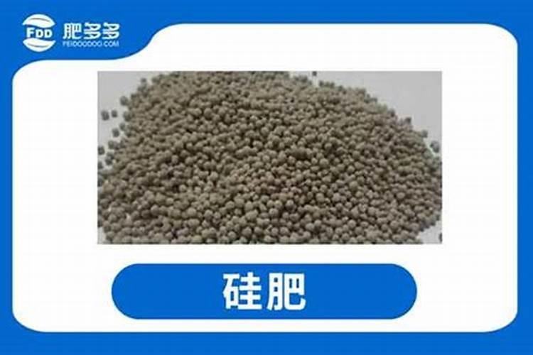 葡萄生长中后期,对肥料的使用都有哪些讲究？