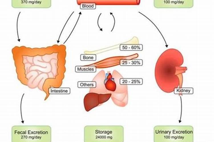 怎么样才能记住植物需要的大量元素和微量元素？
