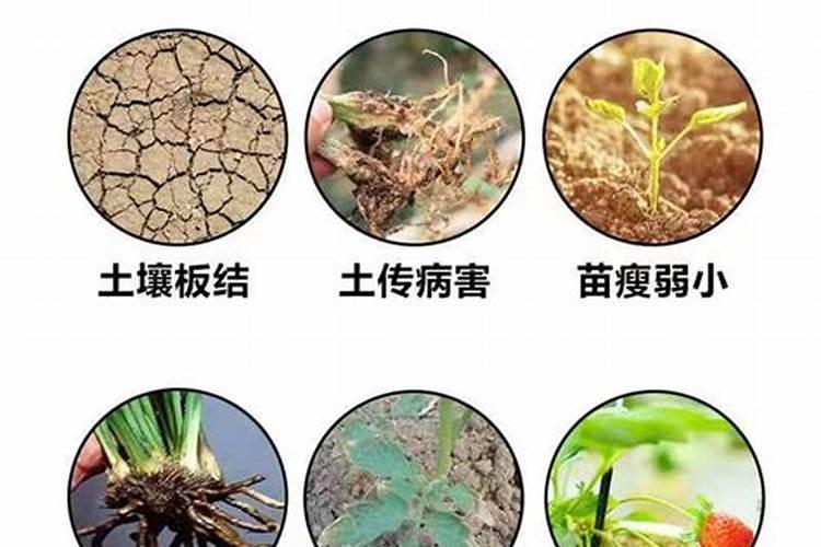 氯化钾50公斤多少钱1袋