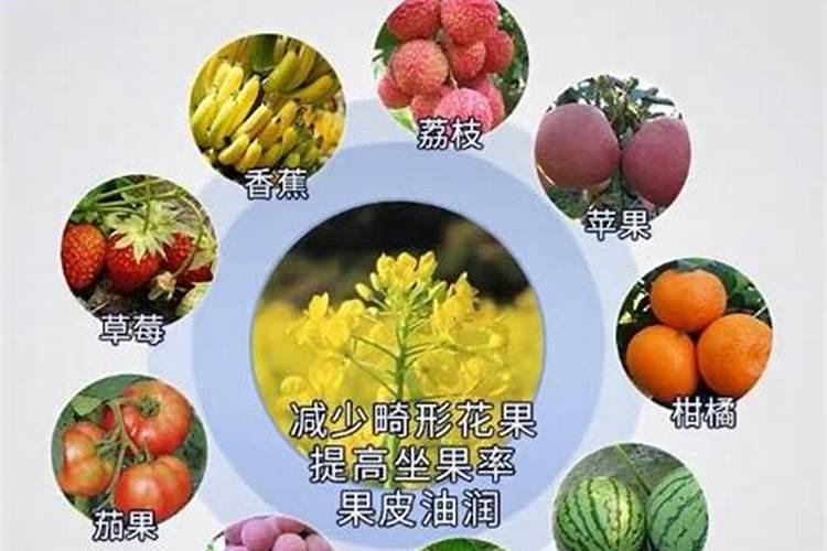 氯化钾50公斤多少钱1袋