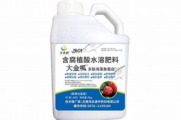 大姜种植后头两次浇水应怎么冲施肥料？