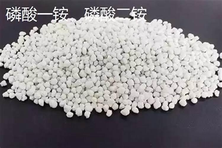 洋葱苗定植后多久浇水 洋葱苗定植几天后需要浇水？