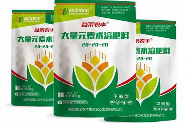 龙眼树不结果怎么办