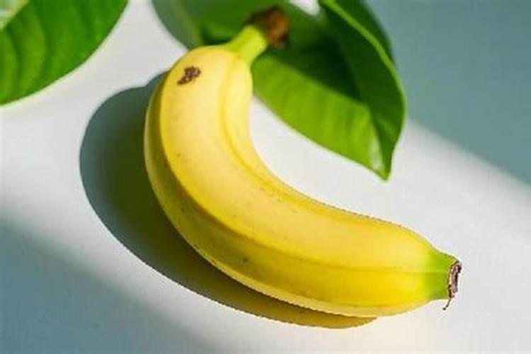 龙眼什么时候放鸡粪最好