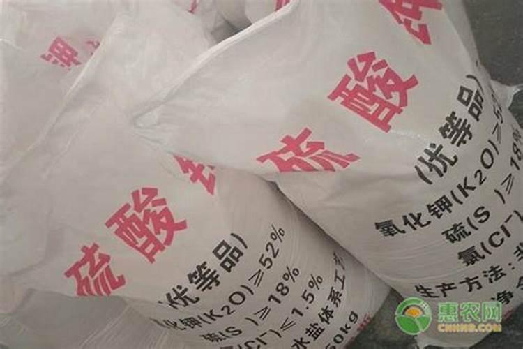 东北水稻施肥方法和用量有哪些
