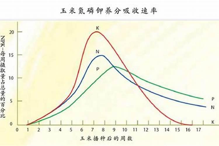 高塔氮钾追肥和尿素哪个好？