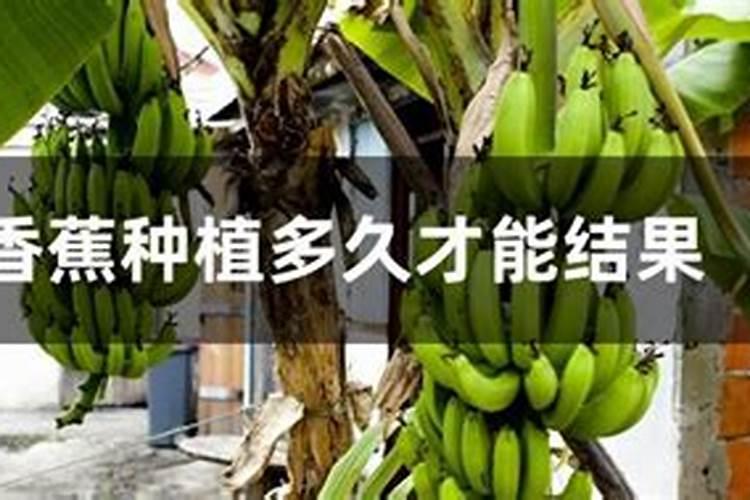 德州药肥公司有哪些