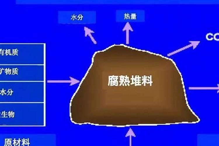 腐熟成败的关键 腐熟有机肥有哪些