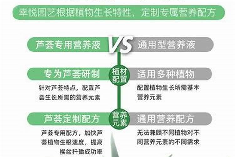 水培芦荟怎么养护