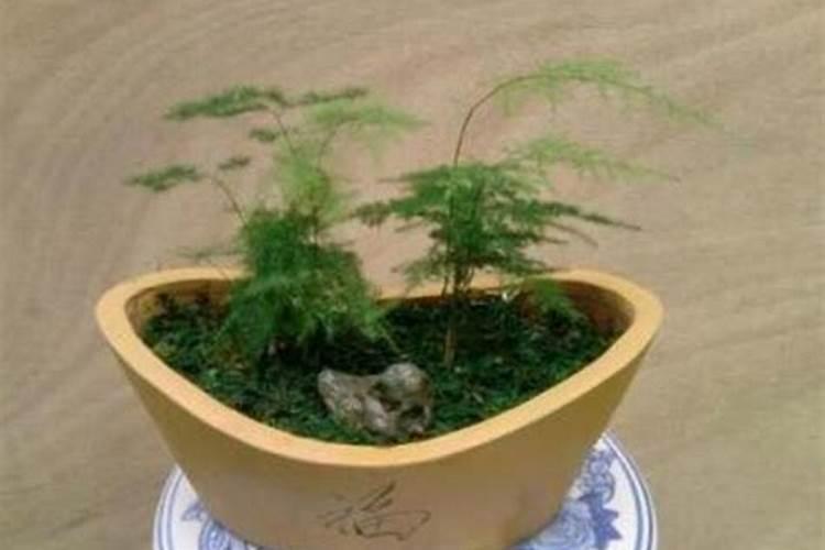 硫酸铵有什么用,能做化肥使用吗？