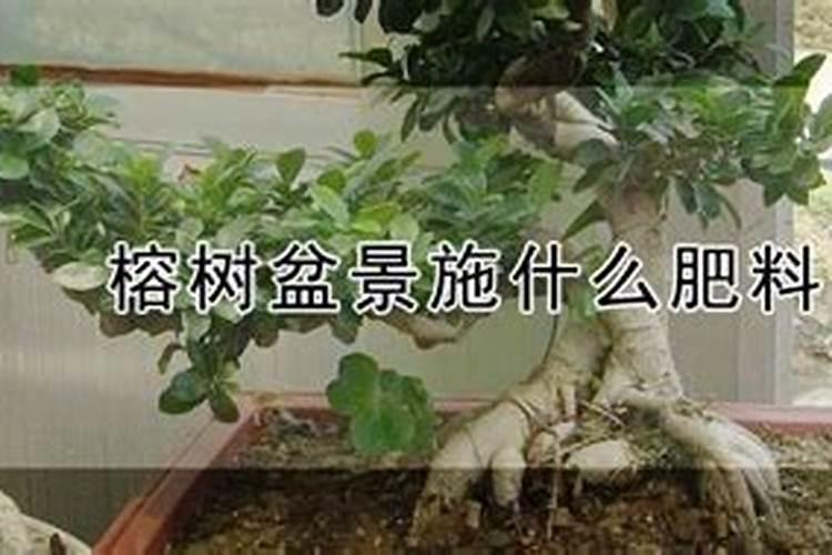 待遇最好的风电叶片厂是哪家？