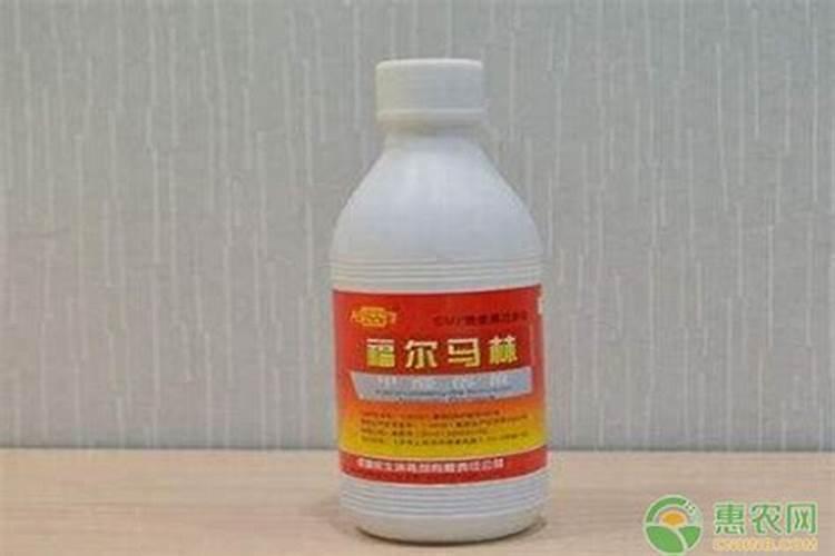 常用氮肥有哪些类型？各有什么特点？