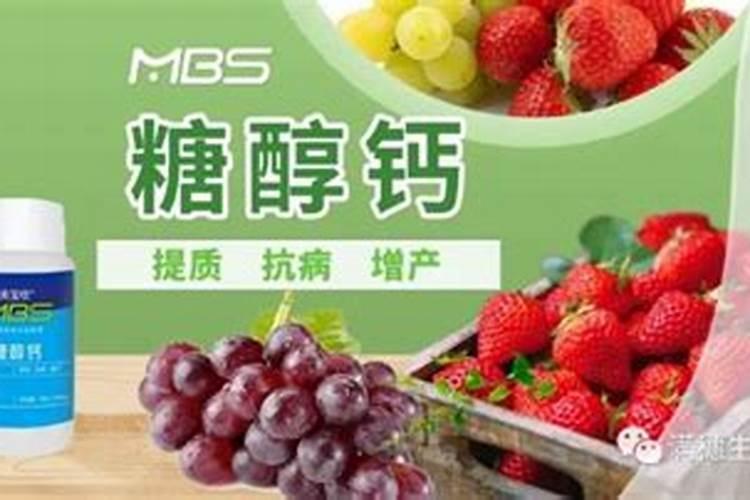 促进水稻分蘖的叶面肥