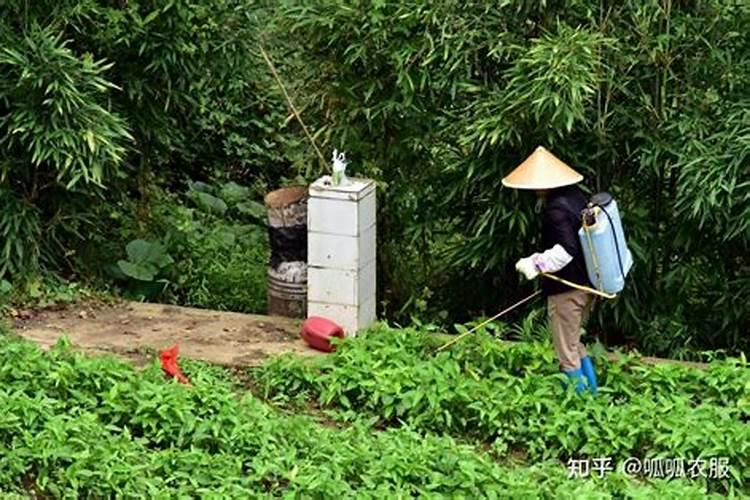 氮肥化肥怎么浇花