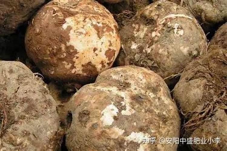 哪些农家肥含氮磷钾