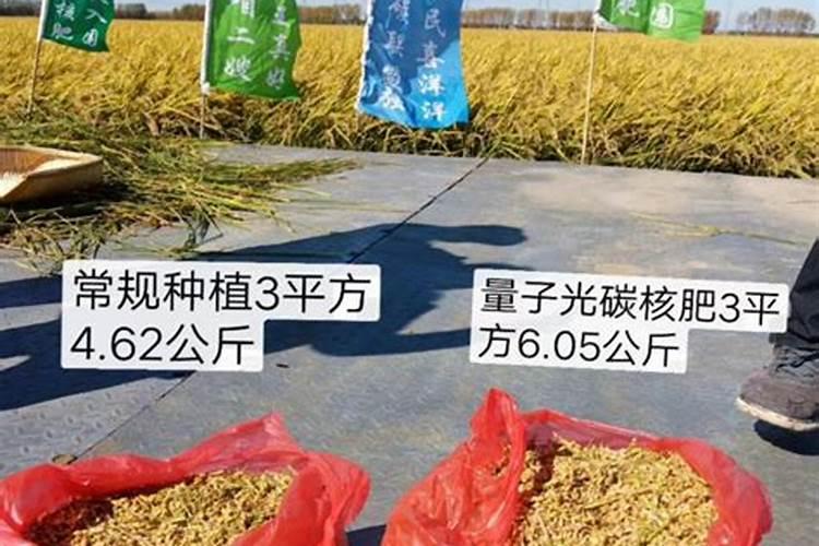 含腐植酸水溶肥料能再小麦上多喷试吗？