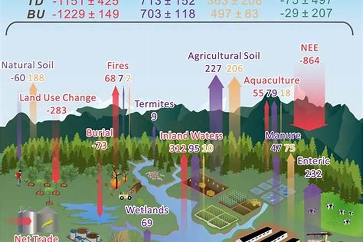 大豆追肥用什么肥料好