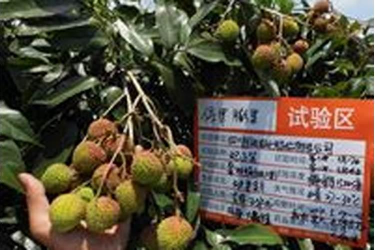 植物缺氮缺磷缺钾分别有什么害处