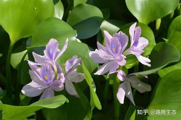 磷肥旺季在几月份