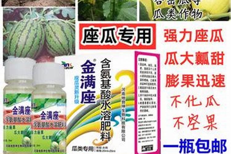 西瓜坐果期的肥水管理