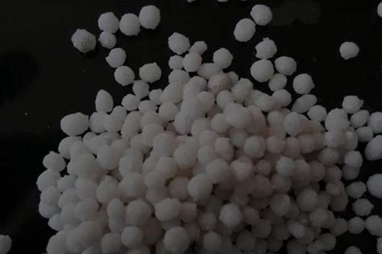 皇帝贡柑几月份吃？