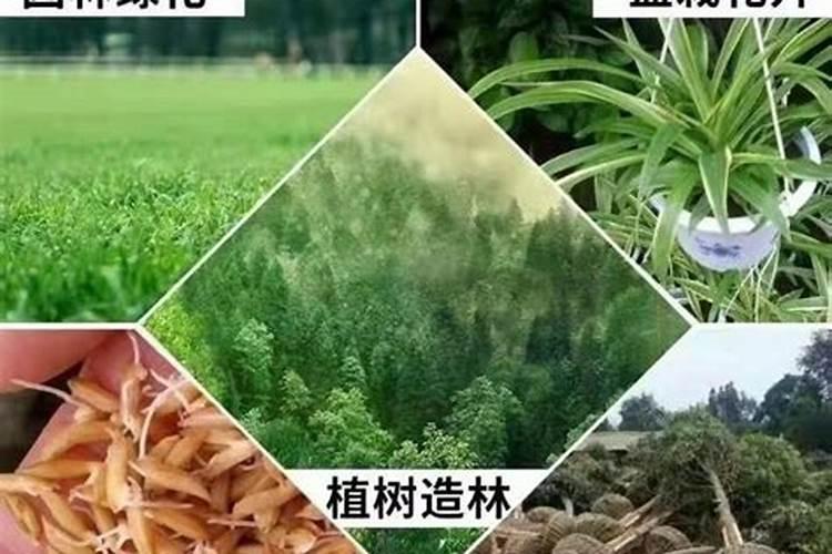 苹果树用什么肥料？把握三个时期,膨大果个效果好