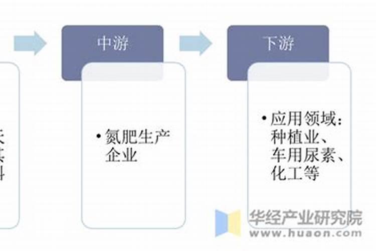 佛手瓜种植株距多少产量最高？它的亩产是多少公斤呢？