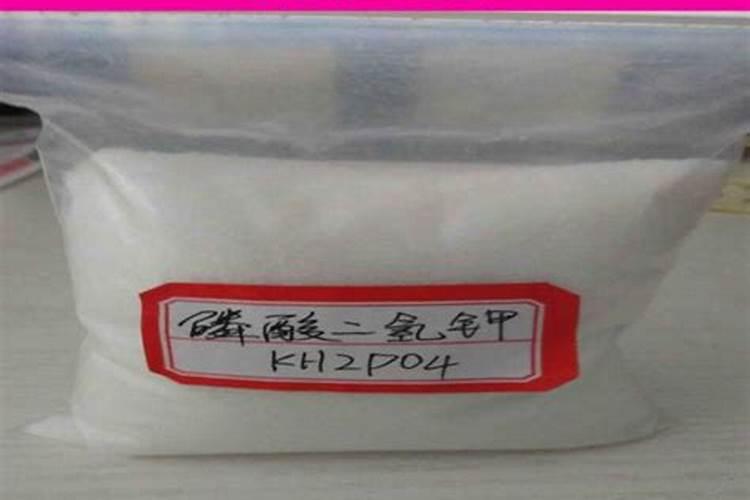 什么植物多施钾肥