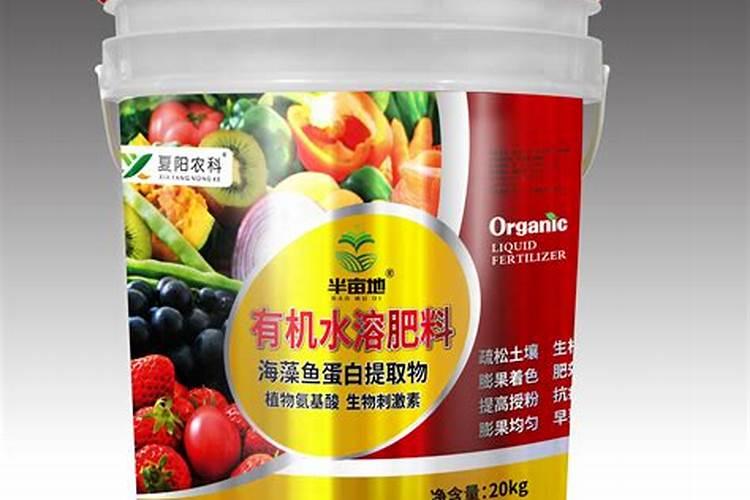 月季盲芽的成因及处理方法是什么