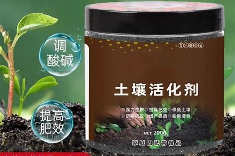 生蚝壳有什么用