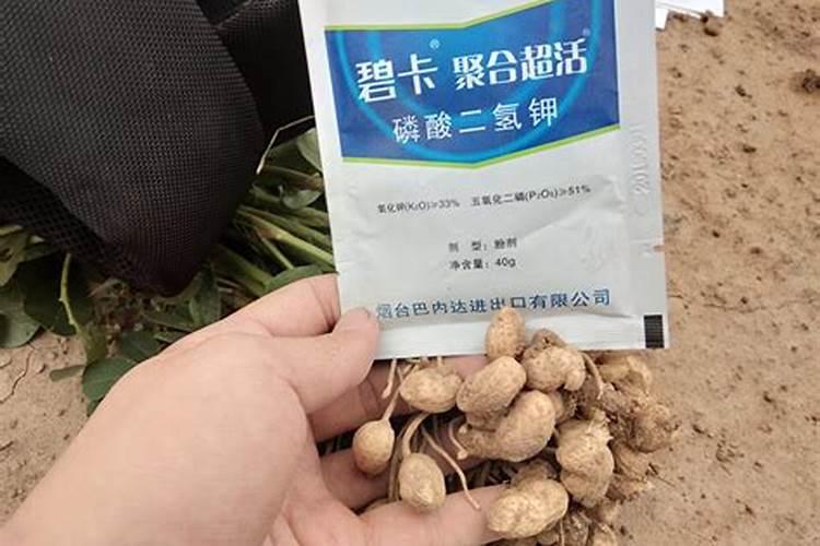 碳铵怎么兑水浇菜？