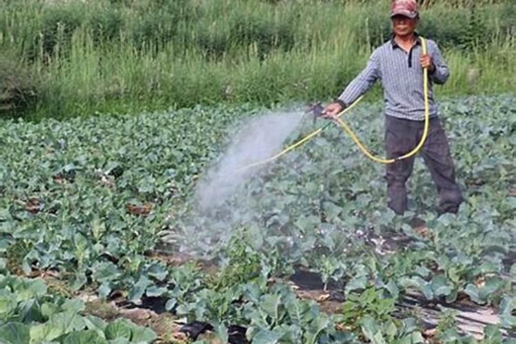 大量元素水溶肥怎么施用