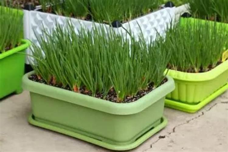 含聚合氨其酸复合肥料含钾吗