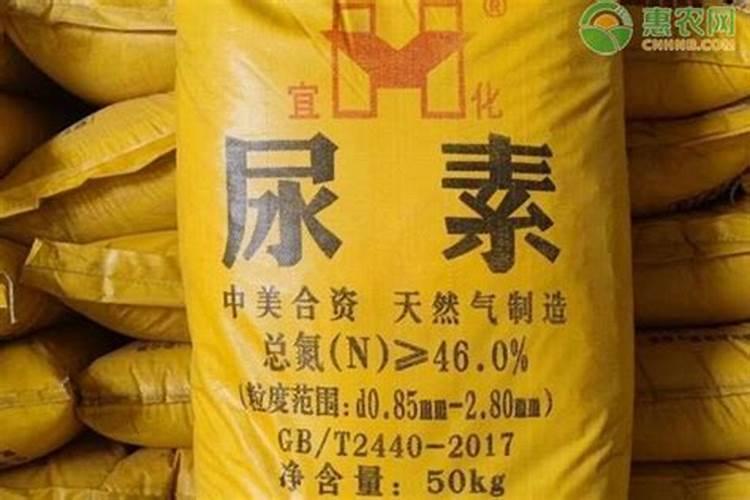 尿素和高塔硝硫基哪个好？