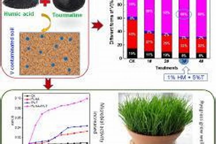 金矿浮选工艺流程