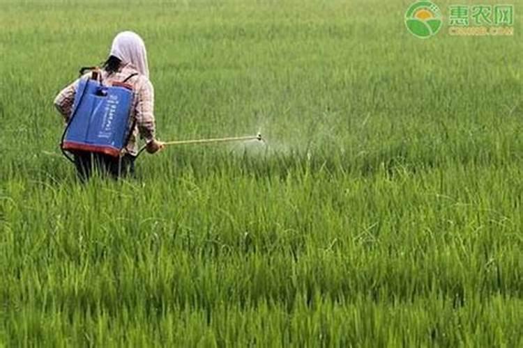 黄腐酸钾怎么施用才能达到理想效果？