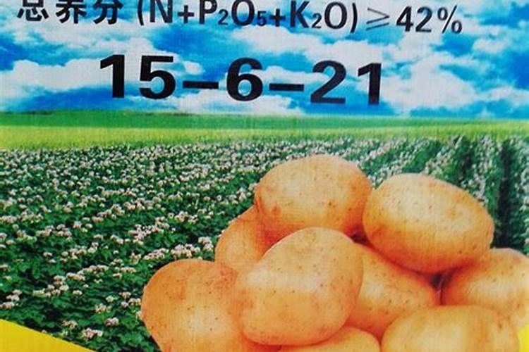 种菜几天施肥一次 快来看一看吧