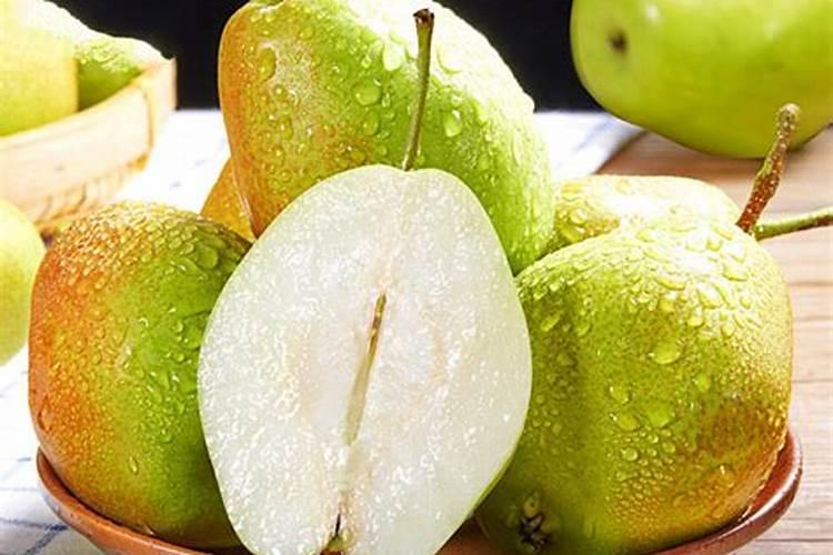 君子兰最喜欢这“4种”花肥,吃了以后叶子肥大,绿的油亮亮