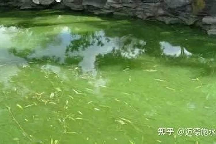 为什么植物叶需要氮肥,果需要磷肥,枝干强壮需要钾肥呢？