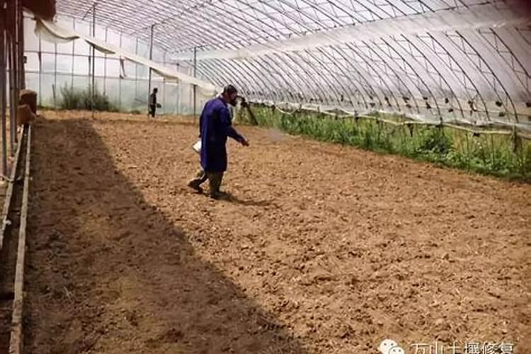 磷肥是农作物的重要肥料之一,怎样施用磷肥才能提高养分利用率？