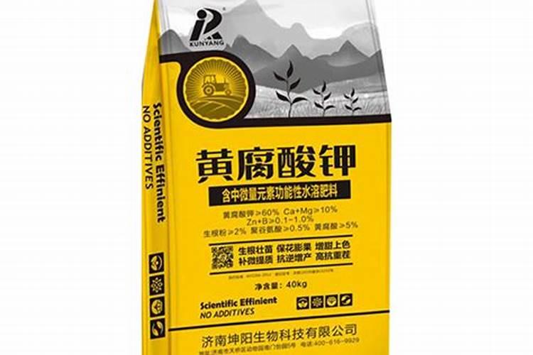 白菜的管理方式与施肥和打药