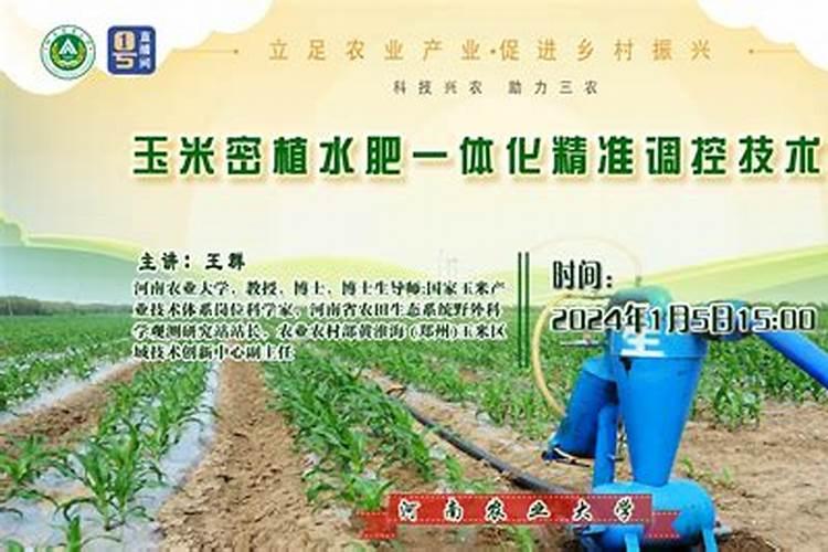 水溶肥有什么作用和优点