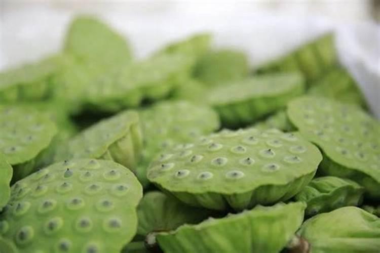 莲藕叶子什么时候彩摘？